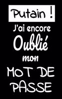 Putain j'ai encore oublié mon mot de passe: Carnet de mots de passe - Carnet pour conserver vos mots de passe et identifiants, email, questions secrètes etc + conseils pour votre mdp - format 