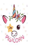 Pigicorn Notebook