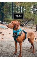Vizsla Dog Pup Puppy Doggie Notebook Bullet Journal Diary Composition Book Notepad - Blue Bandana