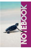 Notebook: Leatherback Sea Turtle Professional Composition Book for Marine Sealife Fans