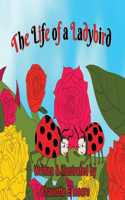 Life of A Ladybird