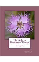 The Pinks or Dianthus of Europe