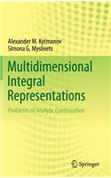 Multidimensional Integral Representations