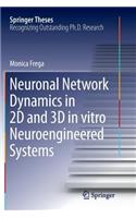 Neuronal Network Dynamics in 2D and 3D in vitro Neuroengineered Systems: (Springer Theses)