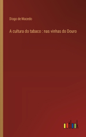 A cultura do tabaco