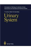 Urinary System