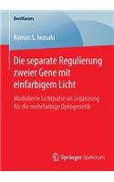 Die Separate Regulierung Zweier Gene Mit Einfarbigem Licht