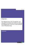 Die Pflegekammer. Zur Geschichte und aktuellem Geschehen der Selbstverwaltung der Pflegeberufe sowie Vor- und Nachteile einer Verkammerung