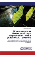 Zhuzhelitsy Kak Bioindikatory Zagryazneniya Pochv V Usloviyakh G. Groznogo: (Russian)