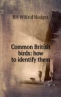 Common British birds: how to identify them