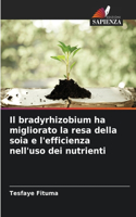 bradyrhizobium ha migliorato la resa della soia e l'efficienza nell'uso dei nutrienti