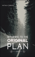 Returning to the Original Plan
