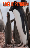 Adélie Penguin