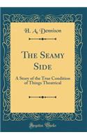 The Seamy Side: A Story of the True Condition of Things Theatrical (Classic Reprint)