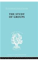 Study of Groups