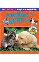 Perritos y Gatitos