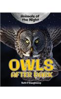 Owls After Dark