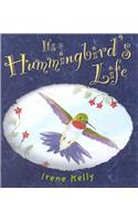 It's a Hummingbird's Life