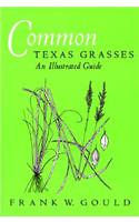 Common Texas Grasses