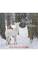 Magical Winter