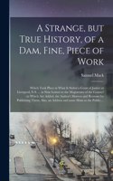 Strange, but True History, of a Dam, Fine, Piece of Work [microform]