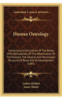 Human Osteology