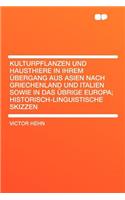 The Superintendence of Piping Installations in Buildings, Sanitary, Hydraulic, and Gas