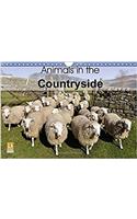 Animals in the Countryside 2017: Rural Scenes of Livestock Out in the Countryside of Britain(Calvendo Animals)