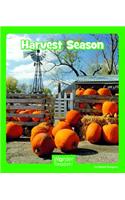Harvest Season