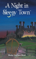 Night in Sleepy Town