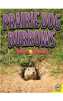 Prairie Dog Burrows