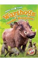 Warthogs and Banded Mongooses