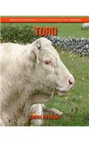 Toro