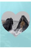 I Love Whales - Notebook For Children