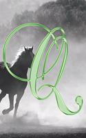 Q Journal: A Monogram Q Initial Capital Letter Notebook For Writing And Notes: Great Personalized Gift For All First, Middle, Or Last Names (Green Gold Horse E