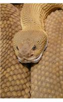 Basilisk Rattlesnake Journal: 150 Page Lined Notebook/Diary