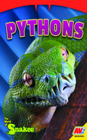 Pythons