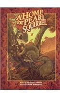 Home for Pearl Squirrel