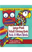 Large Print Adult Coloring Book