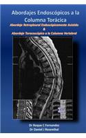 Abordajes Endoscopicos a la Columna Toracica