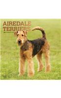 Airedale Terriers 2021 Square Foil