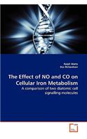 Effect of NO and CO on Cellular Iron Metabolism