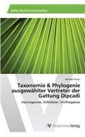 Taxonomie & Phylogenie ausgewählter Vertreter der Gattung Dipcadi: (German)