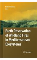 Earth Observation of Wildland Fires in Mediterranean Ecosystems