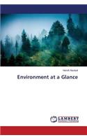 Environment at a Glance