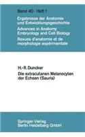 Die extracutanen Melanocyten der Echsen (Sauria)