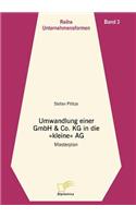 Umwandlung einer GmbH & Co. KG in eine kleine AG