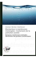 Bioréacteur À Membranes Immergées: Traitement de la Pollution Azotée(Omn.Pres.Franc.)