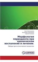Morfologiya periodonta pri khronicheskom vospalenii i lechenii.