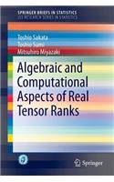 Algebraic and Computational Aspects of Real Tensor Ranks